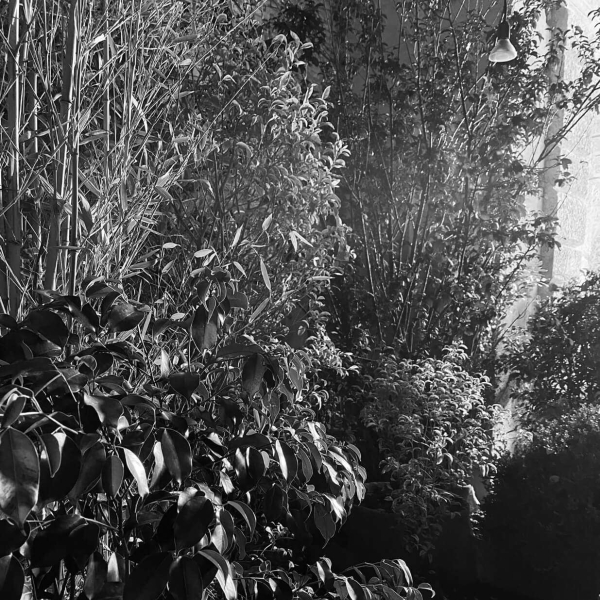 36 00 Alleanze Foto 01 Bw Large