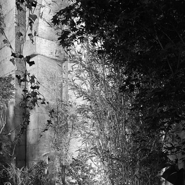 36 00 Alleanze Foto 02 Bw Large