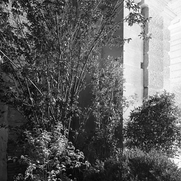 36 00 Alleanze Foto 03 Bw Large