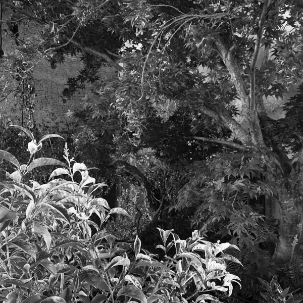 36 00 Alleanze Foto 04 Bw Large
