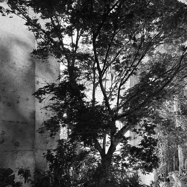 36 00 Alleanze Foto 05 Bw Large