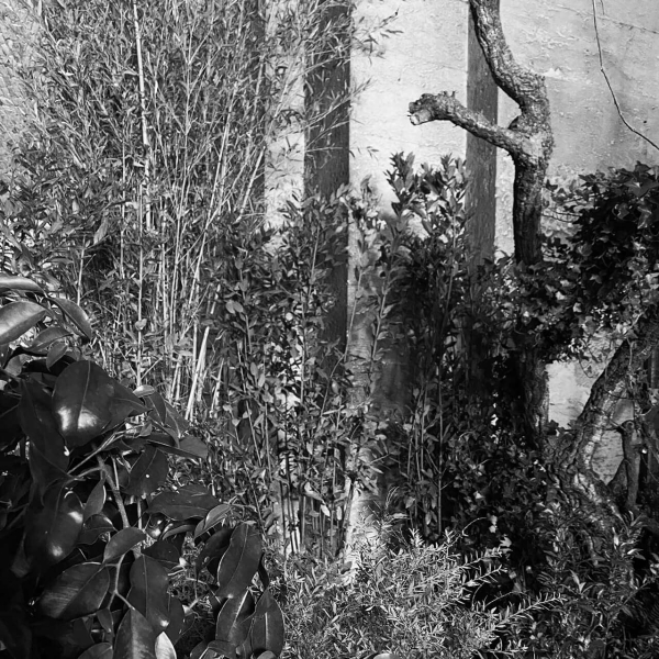 36 00 Alleanze Foto 06 Bw Large