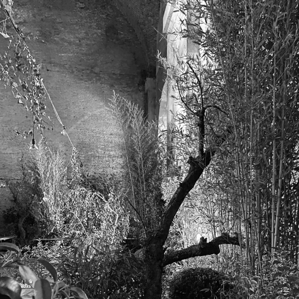 36 00 Alleanze Foto 07 Bw Large