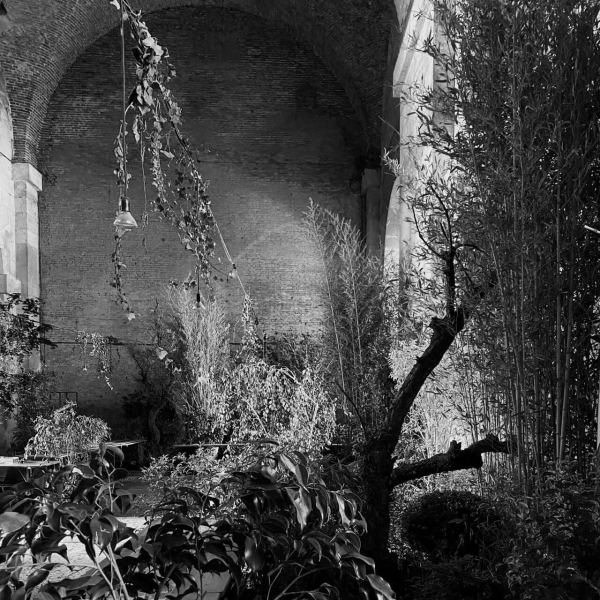 36 00 Alleanze Foto 08 Bw Large