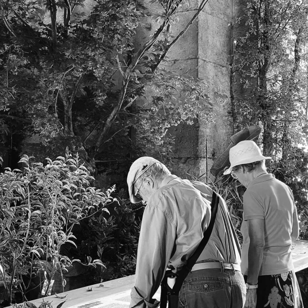 36 00 Alleanze Foto 09 Bw Large