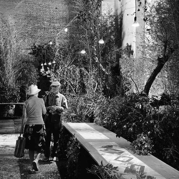 36 00 Alleanze Foto 10 Bw Large