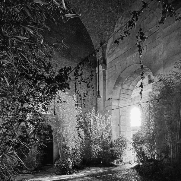 36 00 Alleanze Foto 11 Bw Large